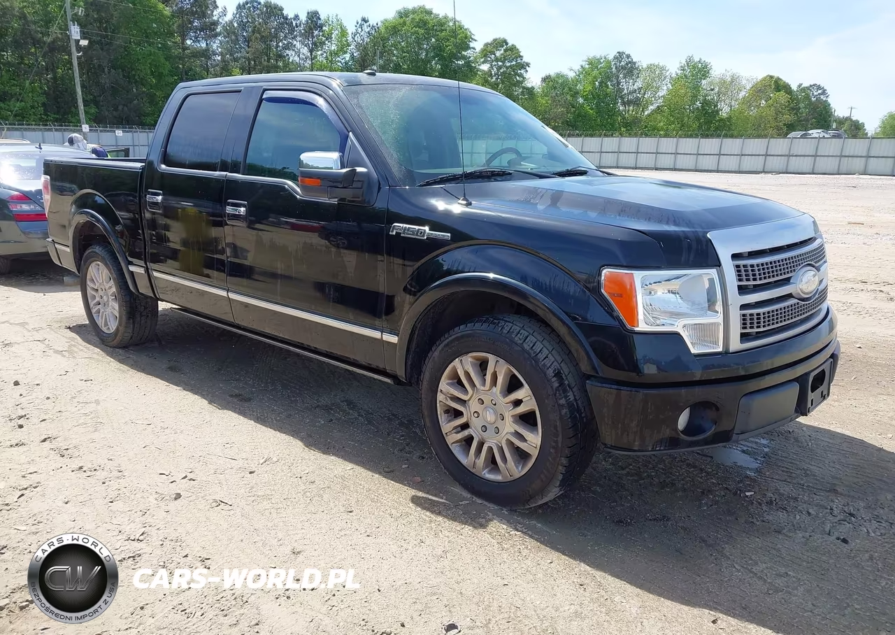 2009 Ford F-150 King Ranch-Lariat-Platinum-Xl-Xlt