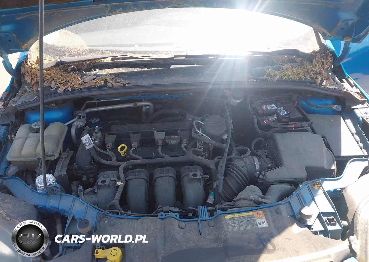 2013 Ford Focus Titanium VIN:1FADP3N27DL378822 - 10