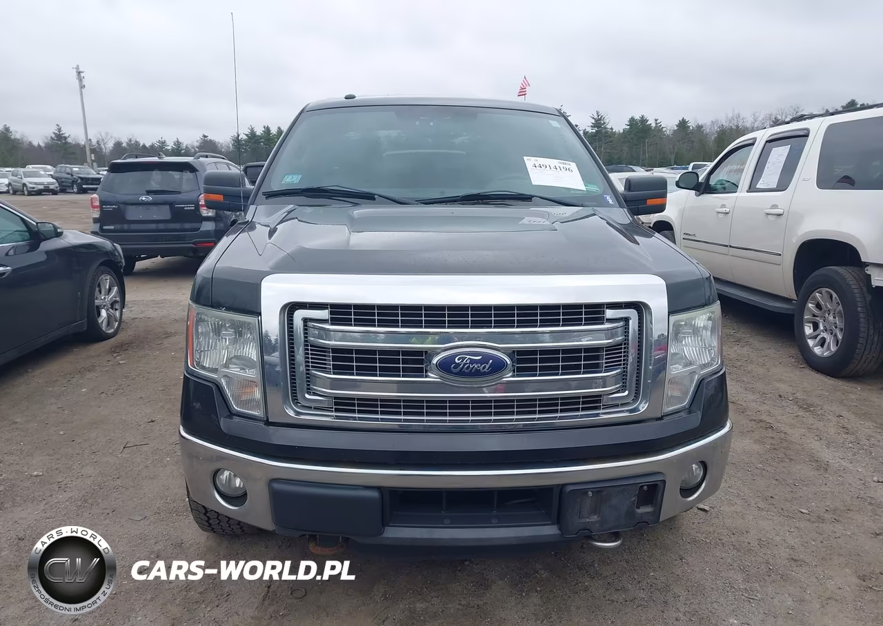 2014 Ford F-150 Xlt VIN:1FTFW1ET6EFB04479 - 12