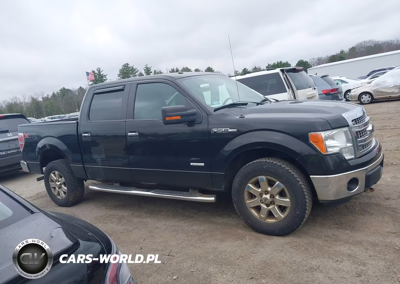 2014 Ford F-150 Xlt VIN:1FTFW1ET6EFB04479 - 13