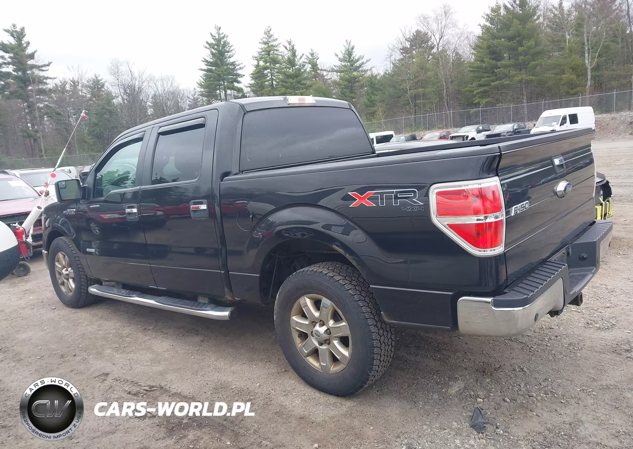 2014 Ford F-150 Xlt VIN:1FTFW1ET6EFB04479 - 14