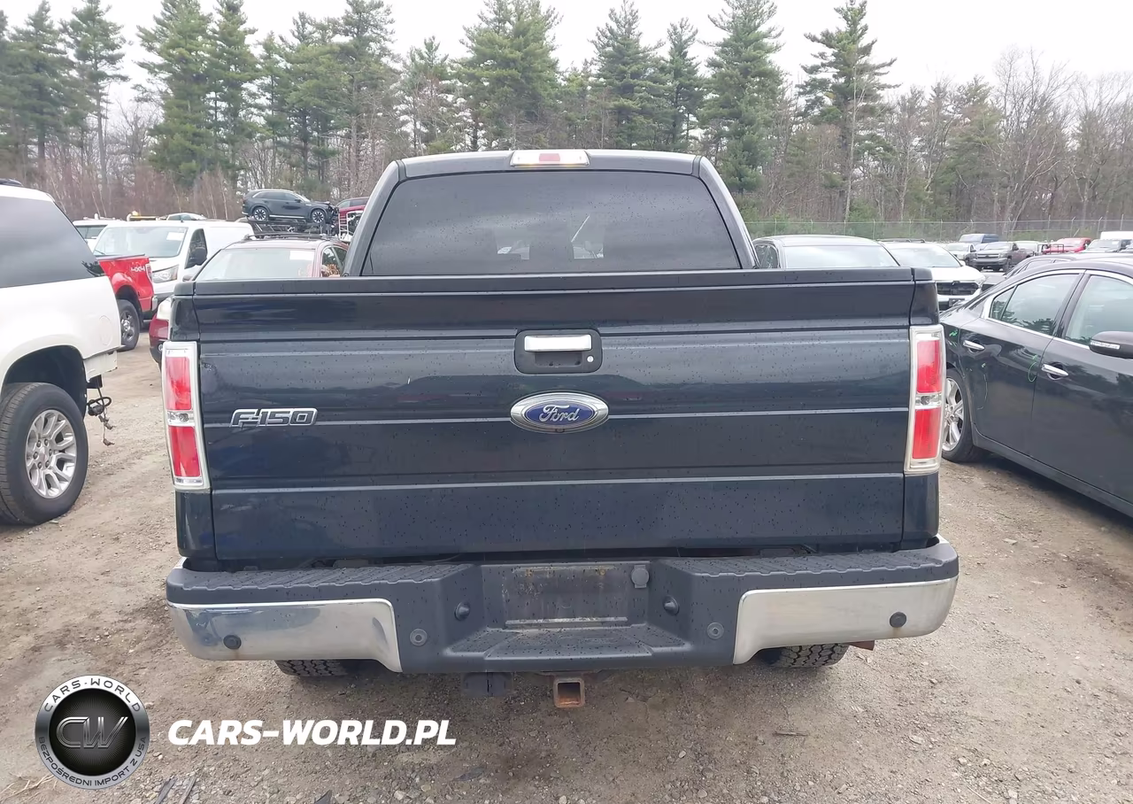 2014 Ford F-150 Xlt VIN:1FTFW1ET6EFB04479 - 16