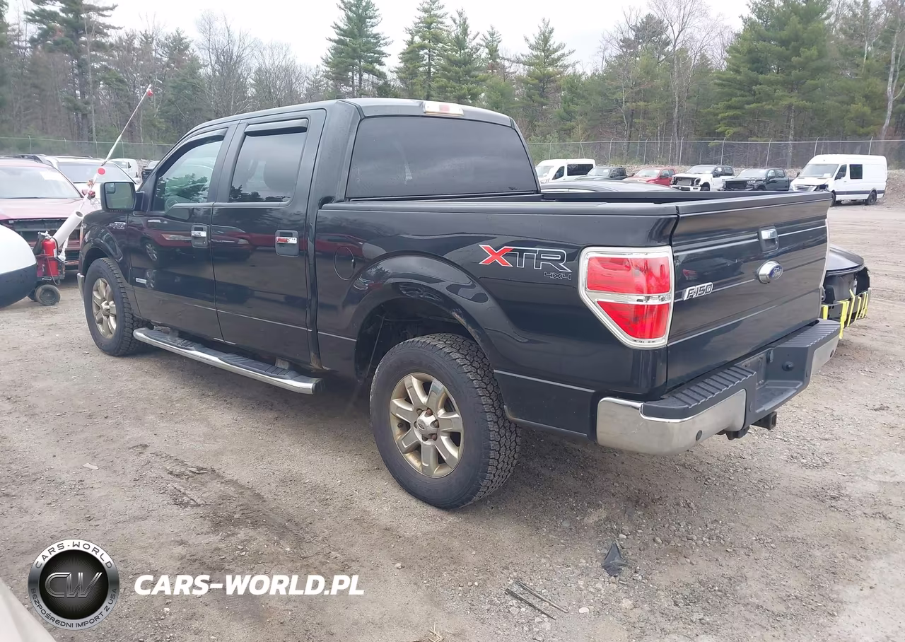 2014 Ford F-150 Xlt VIN:1FTFW1ET6EFB04479 - 3