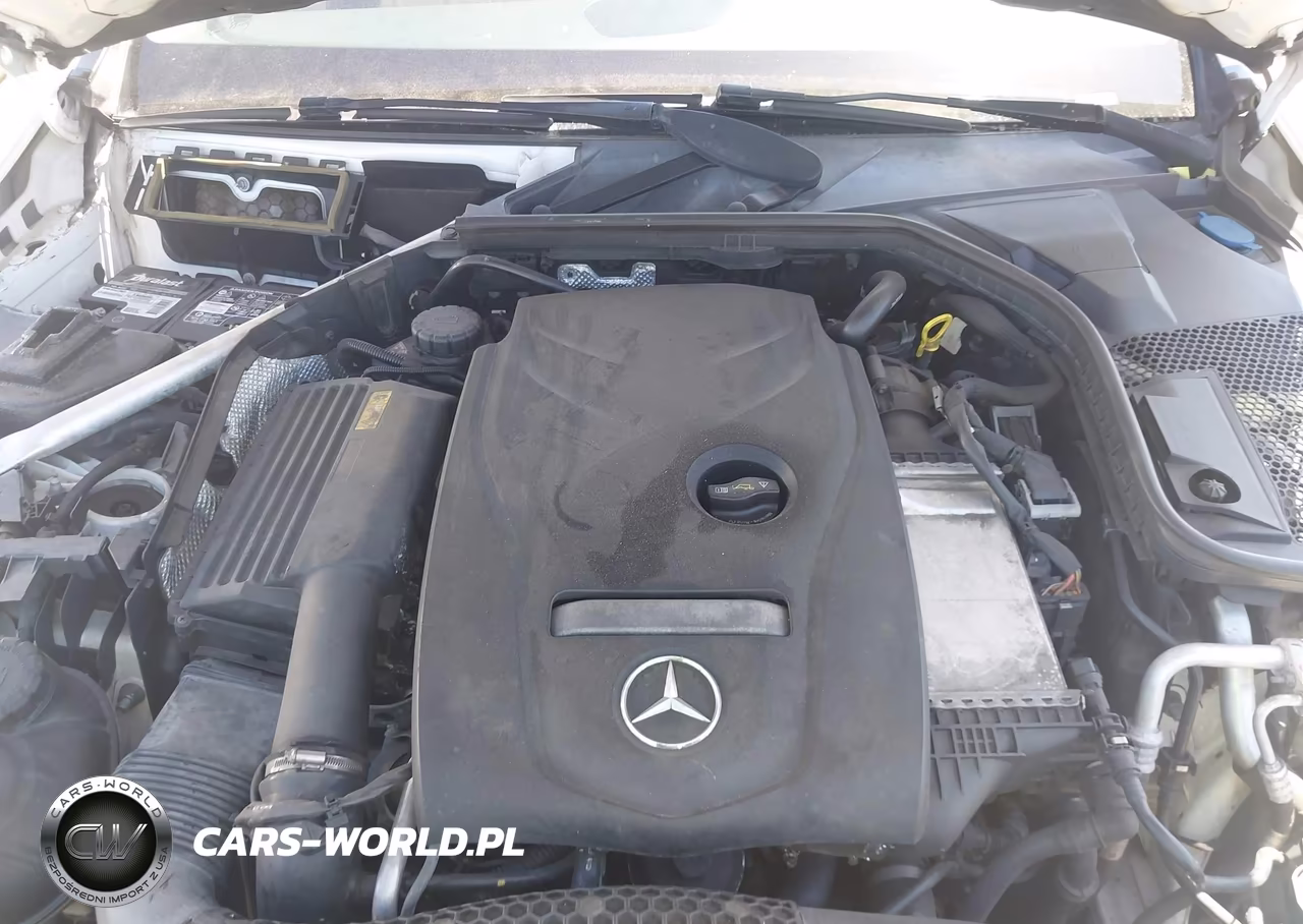 2016 Mercedes-Benz C 300 VIN:55SWF4JB8GU128044 - 10