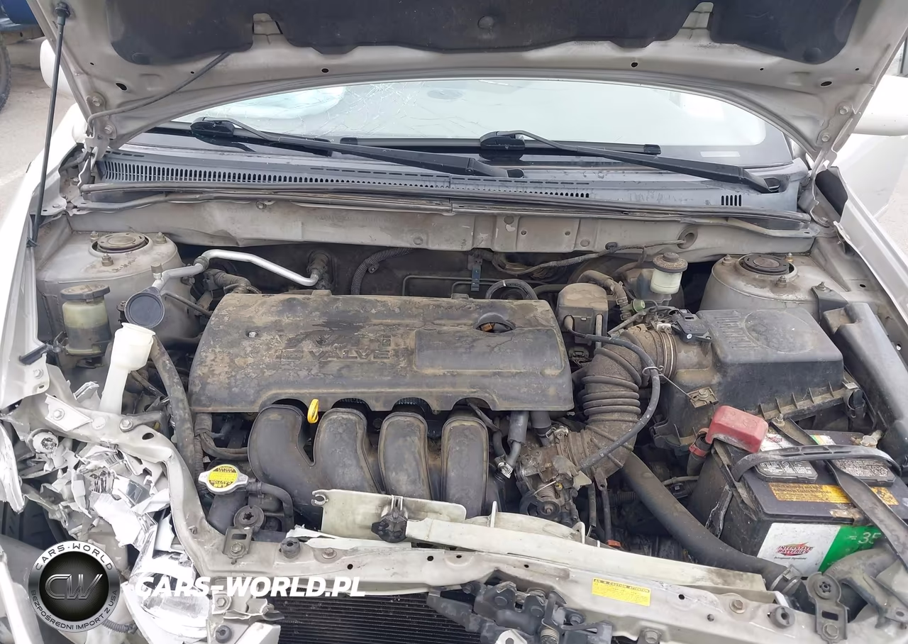 2003 Toyota Corolla Le VIN:JTDBR32E130008945 - 10