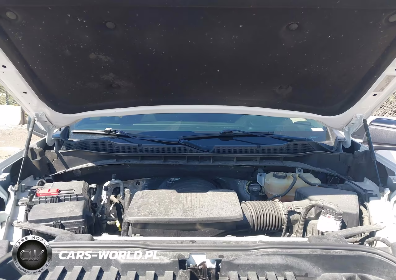 2022 Chevrolet Silverado 1500 4Wd Short Bed Lt Trail Boss VIN:3GCUDFED2NG589978 - 10