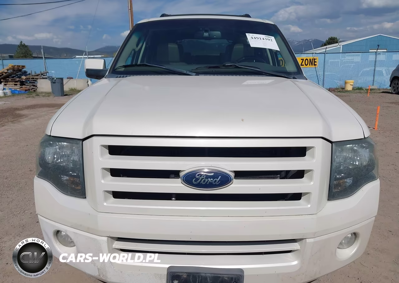 2008 Ford Expedition Limited VIN:1FMFU20528LA20925 - 12
