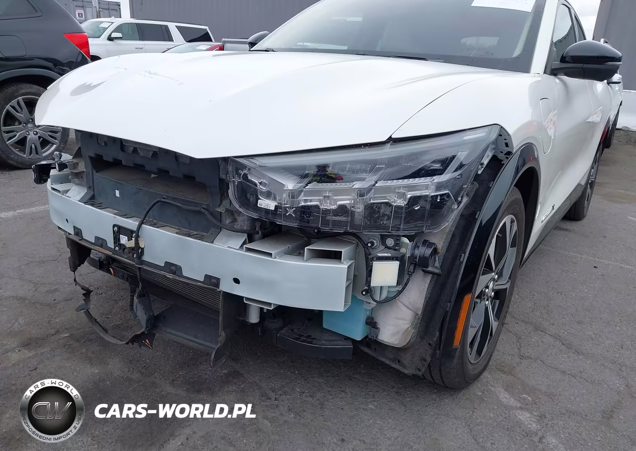 2023 Ford Mustang Mach-E Premium VIN:3FMTK3R77PMA56125 - 20