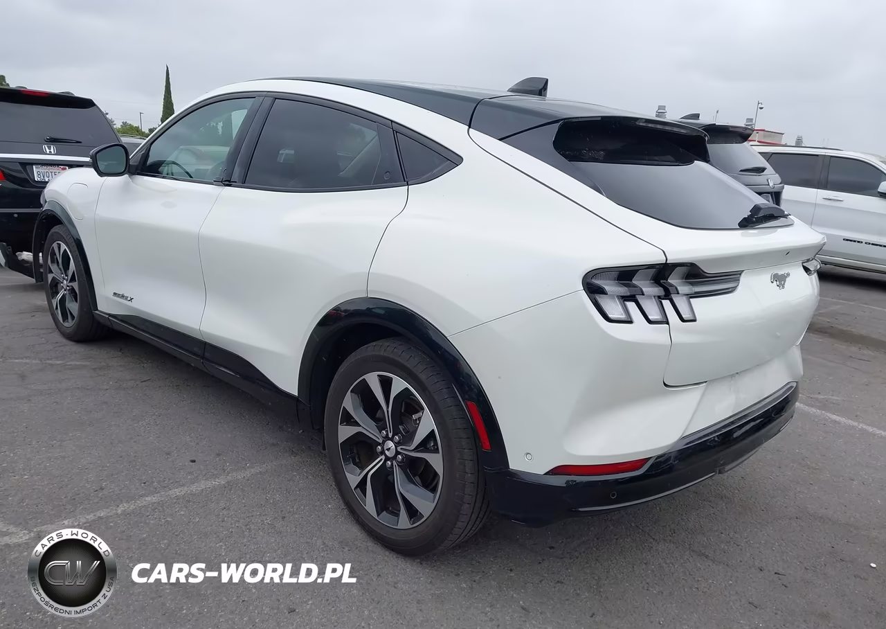 2023 Ford Mustang Mach-E Premium VIN:3FMTK3R77PMA56125 - 3