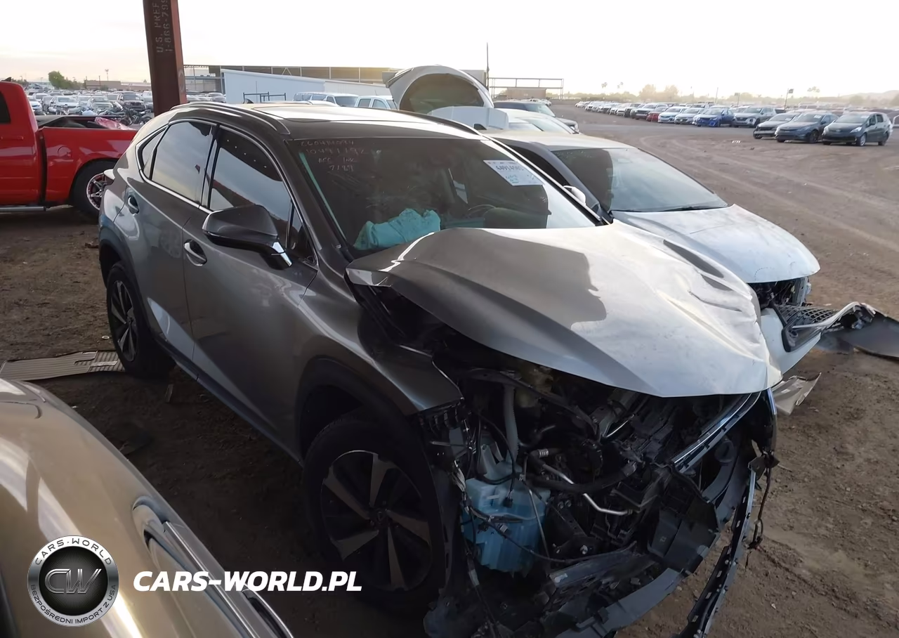 2019 Lexus Nx 300