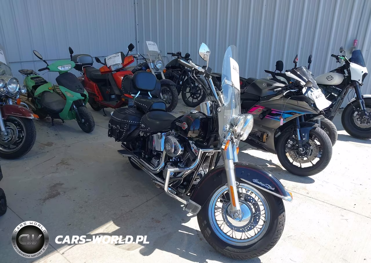 2002 Harley-Davidson Flstci