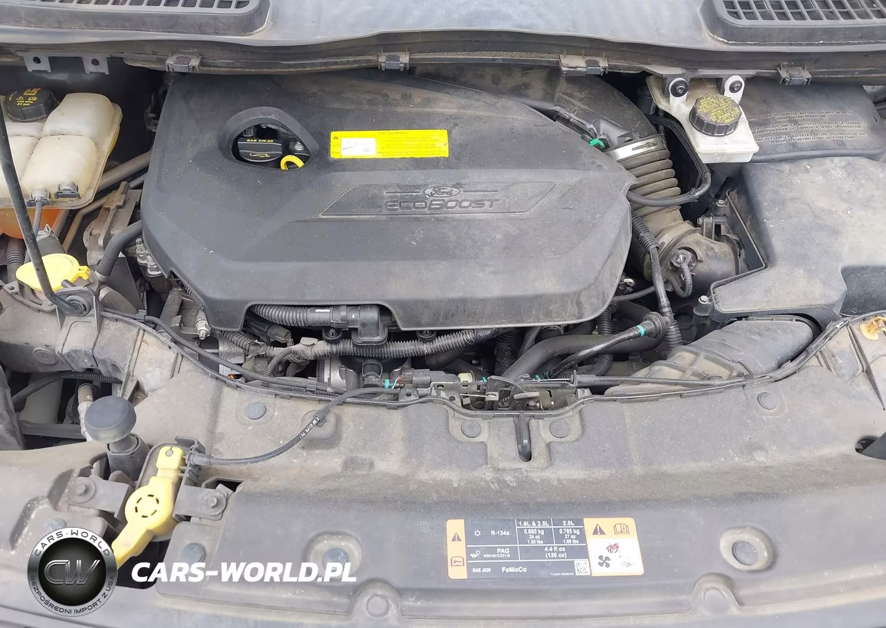 2015 Ford Escape Se VIN:1FMCU0GX5FUB60859 - 10