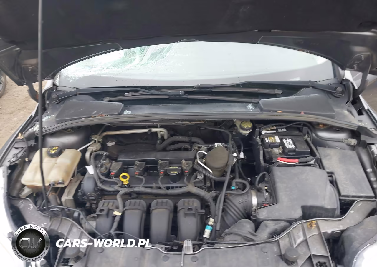 2014 Ford Focus Se VIN:1FADP3F25EL158711 - 10