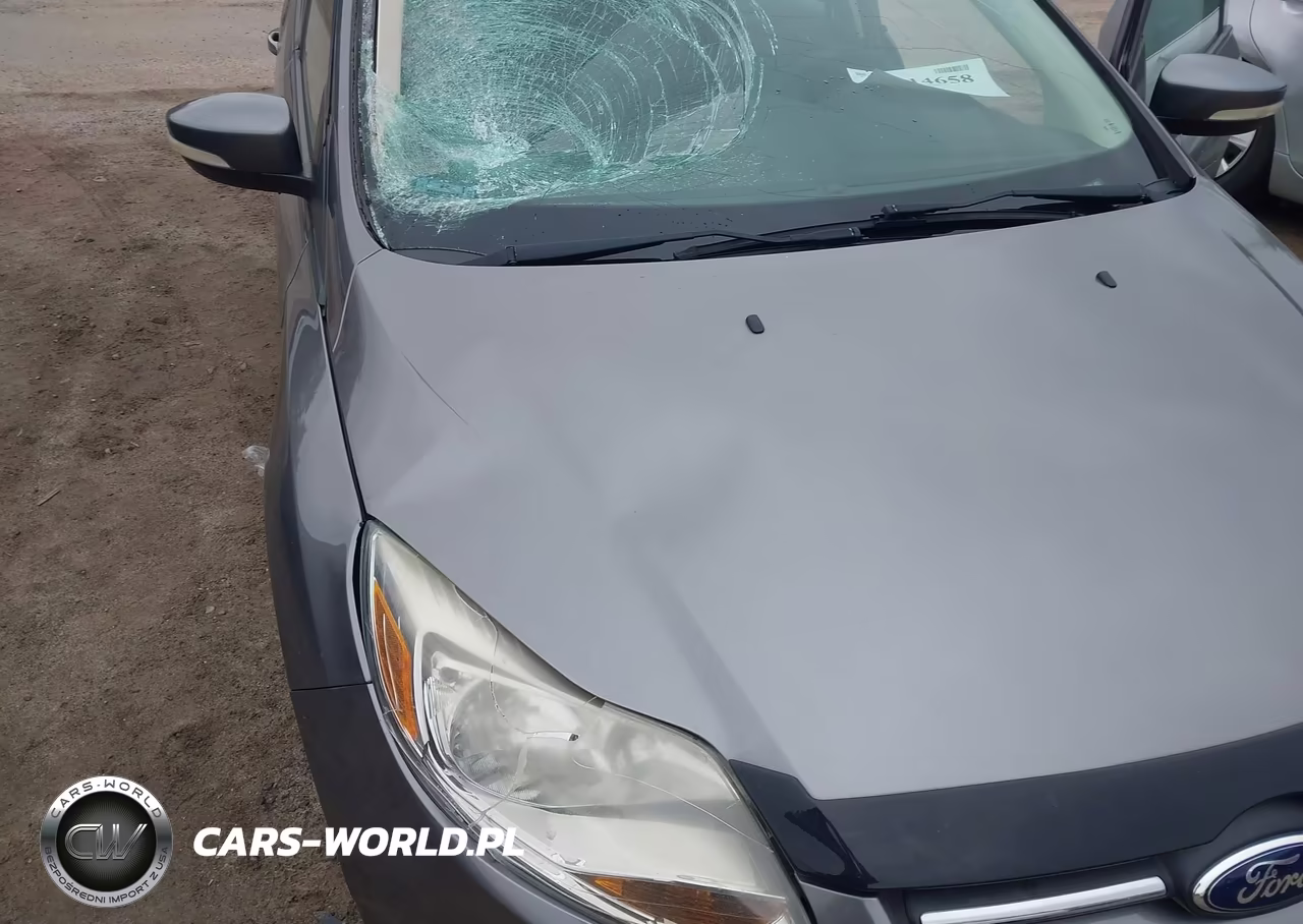 2014 Ford Focus Se VIN:1FADP3F25EL158711 - 12
