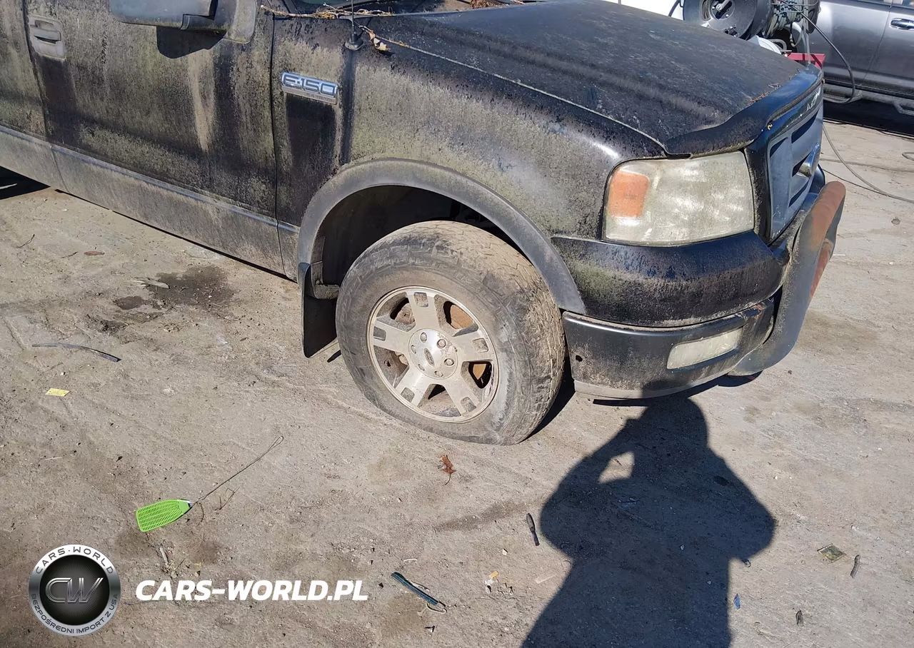 2004 Ford F-150 Fx4-Lariat-Xl-Xlt VIN:1FTPX145X4NC02021 - 6