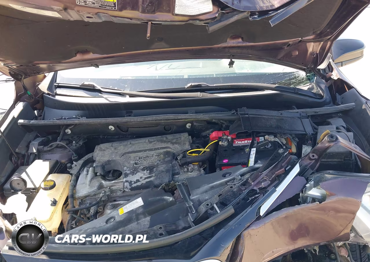 2016 Toyota Rav4 Le VIN:2T3BFREVXGW423321 - 10