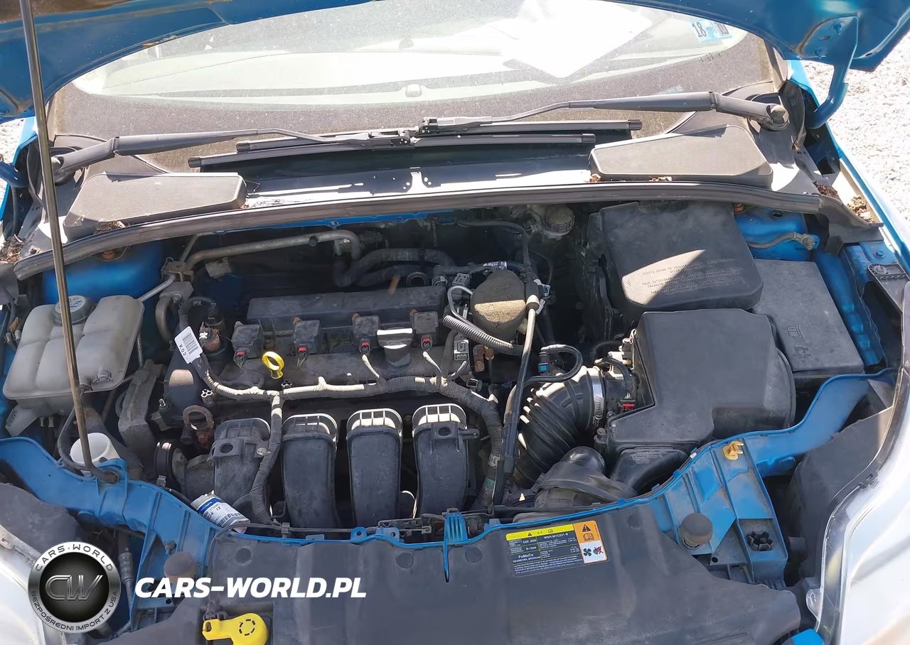 2013 Ford Focus Se VIN:1FADP3K24DL113974 - 10