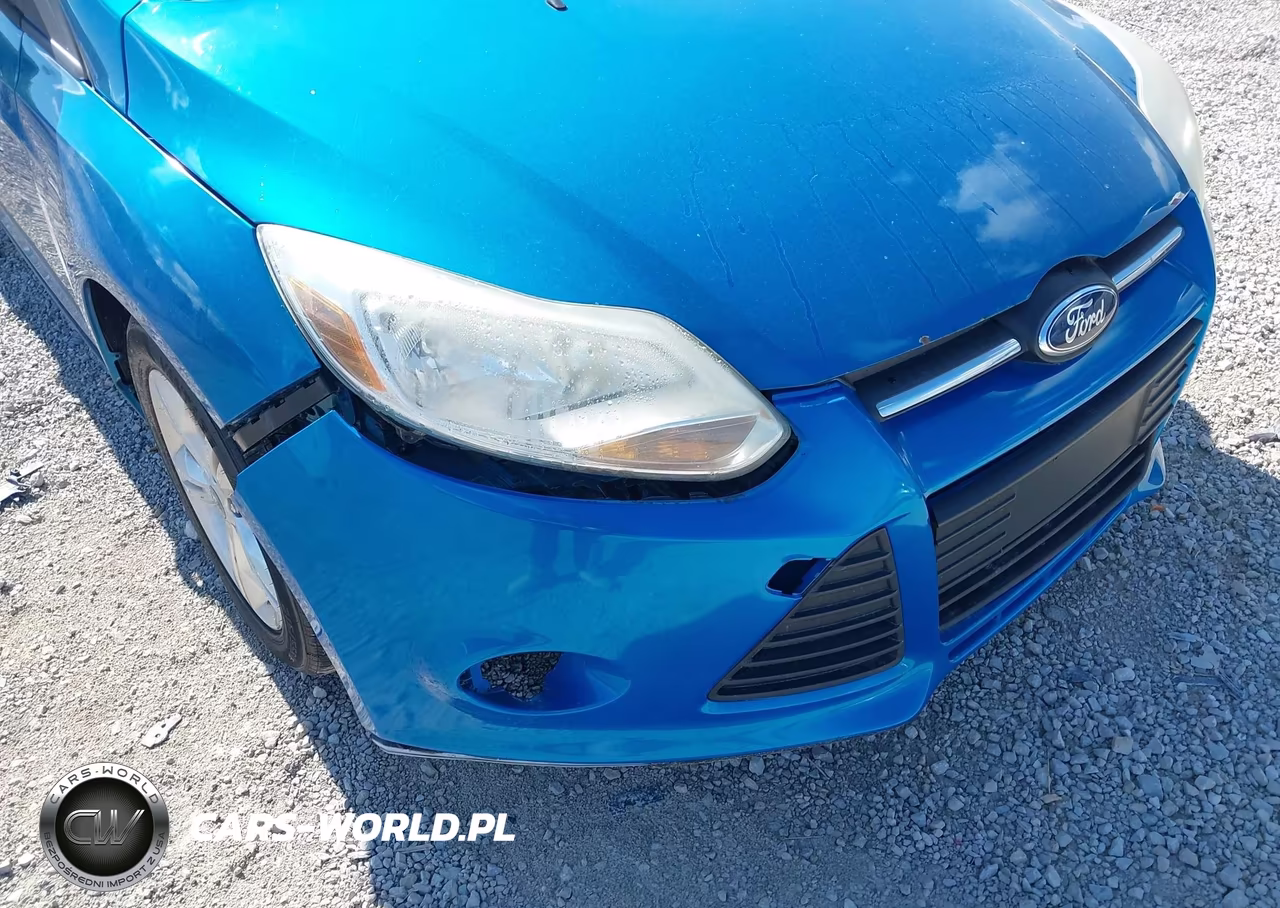 2013 Ford Focus Se VIN:1FADP3K24DL113974 - 12