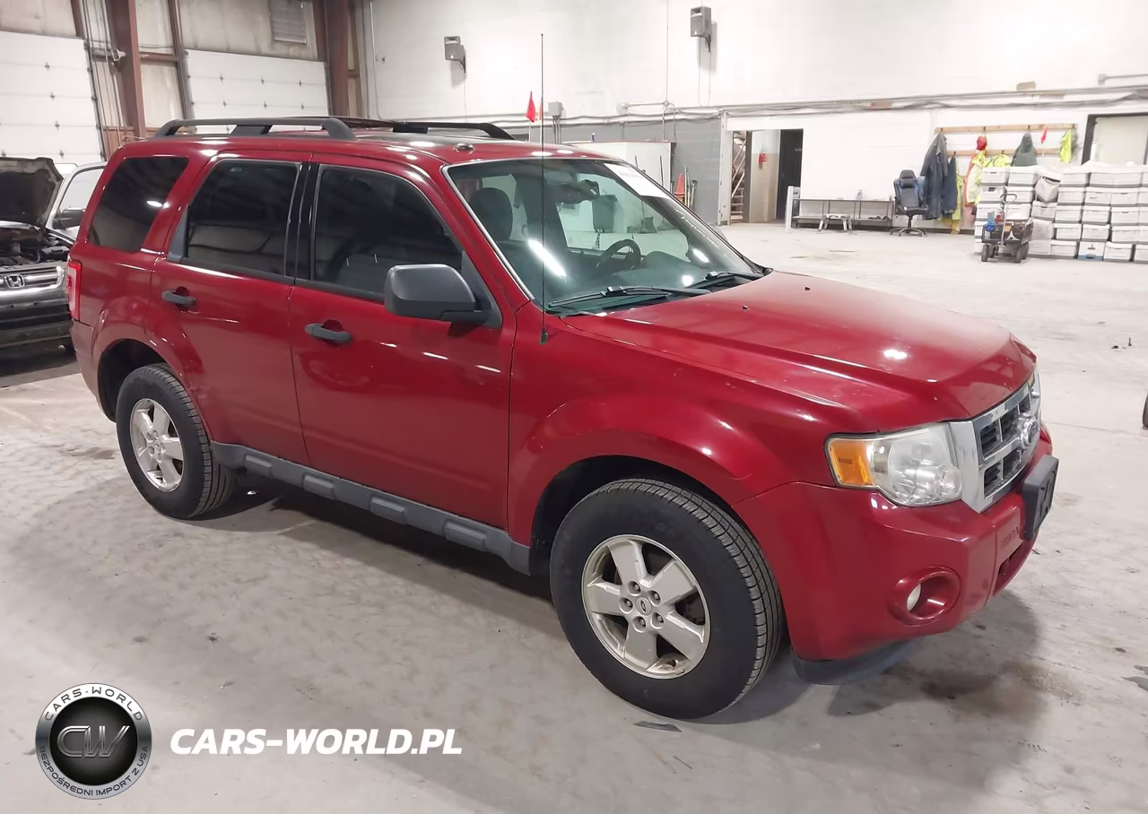 2010 Ford Escape Xlt