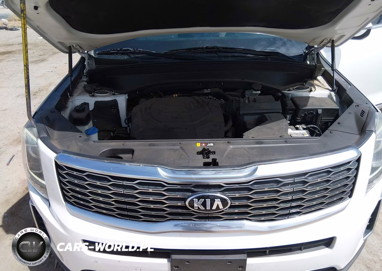 2020 Kia Telluride S VIN:5XYP6DHC9LG024055 - 10