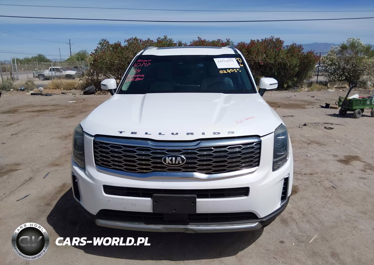 2020 Kia Telluride S VIN:5XYP6DHC9LG024055 - 13