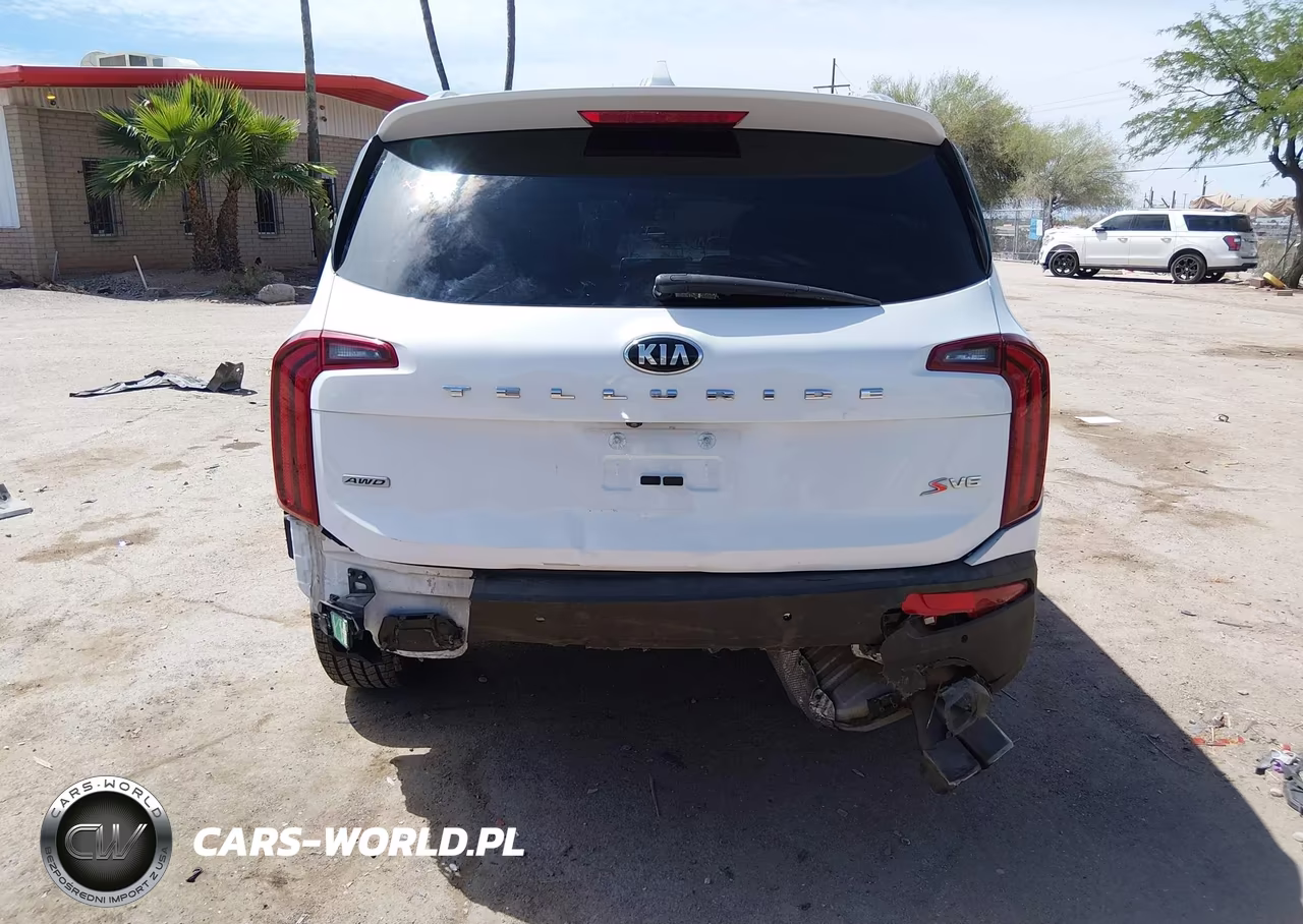 2020 Kia Telluride S VIN:5XYP6DHC9LG024055 - 17