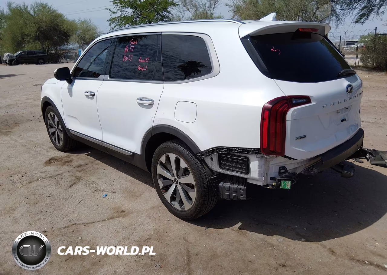 2020 Kia Telluride S VIN:5XYP6DHC9LG024055 - 3