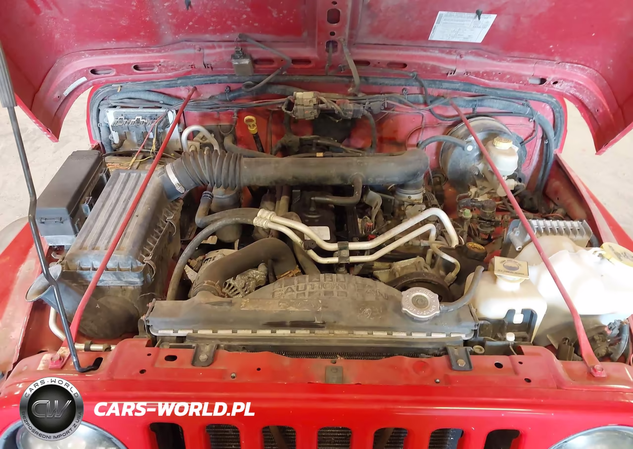 2004 Jeep Wrangler Sport VIN:1J4FA49S44P770230 - 10