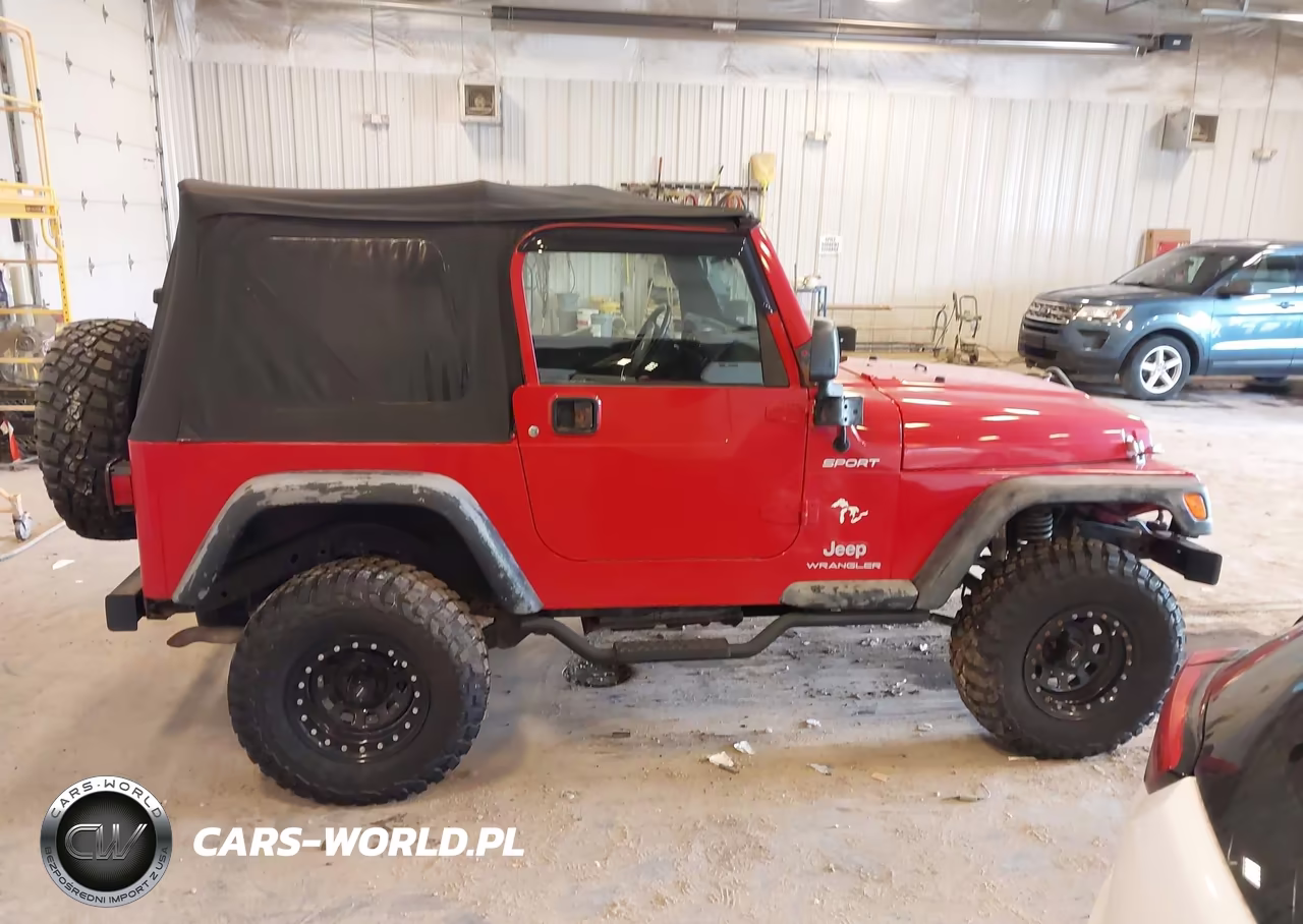 2004 Jeep Wrangler Sport VIN:1J4FA49S44P770230 - 13