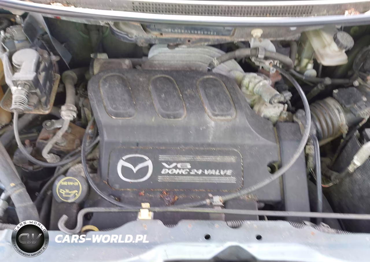 2004 Mazda Mpv Lx VIN:JM3LW28A140519401 - 10