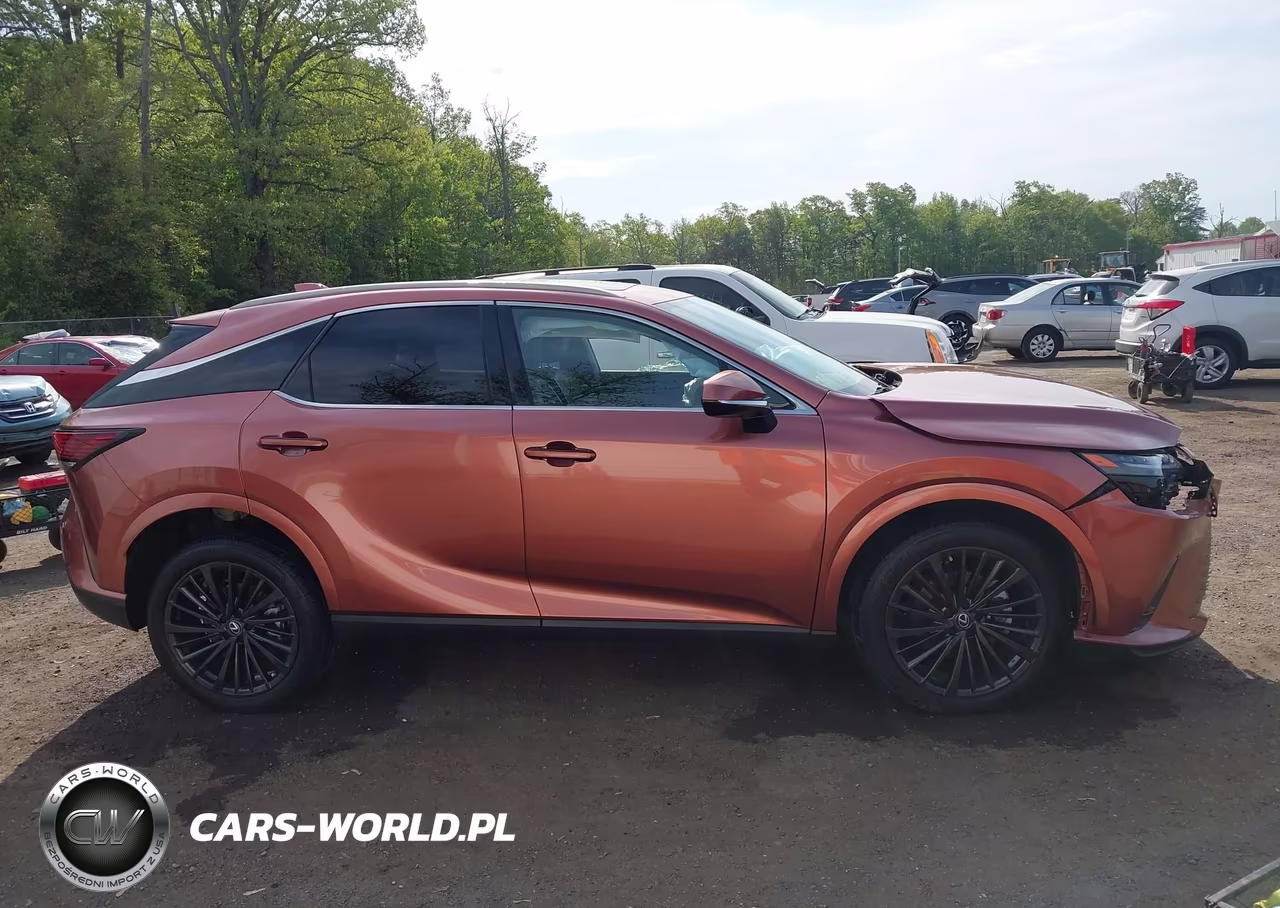 2025 Lexus Rx 350 Premium VIN:2T2BAMCA3SC096566 - 13