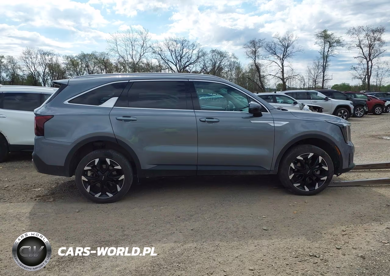 2025 Kia Sorento Ex VIN:5XYRHDJF2SG380031 - 13