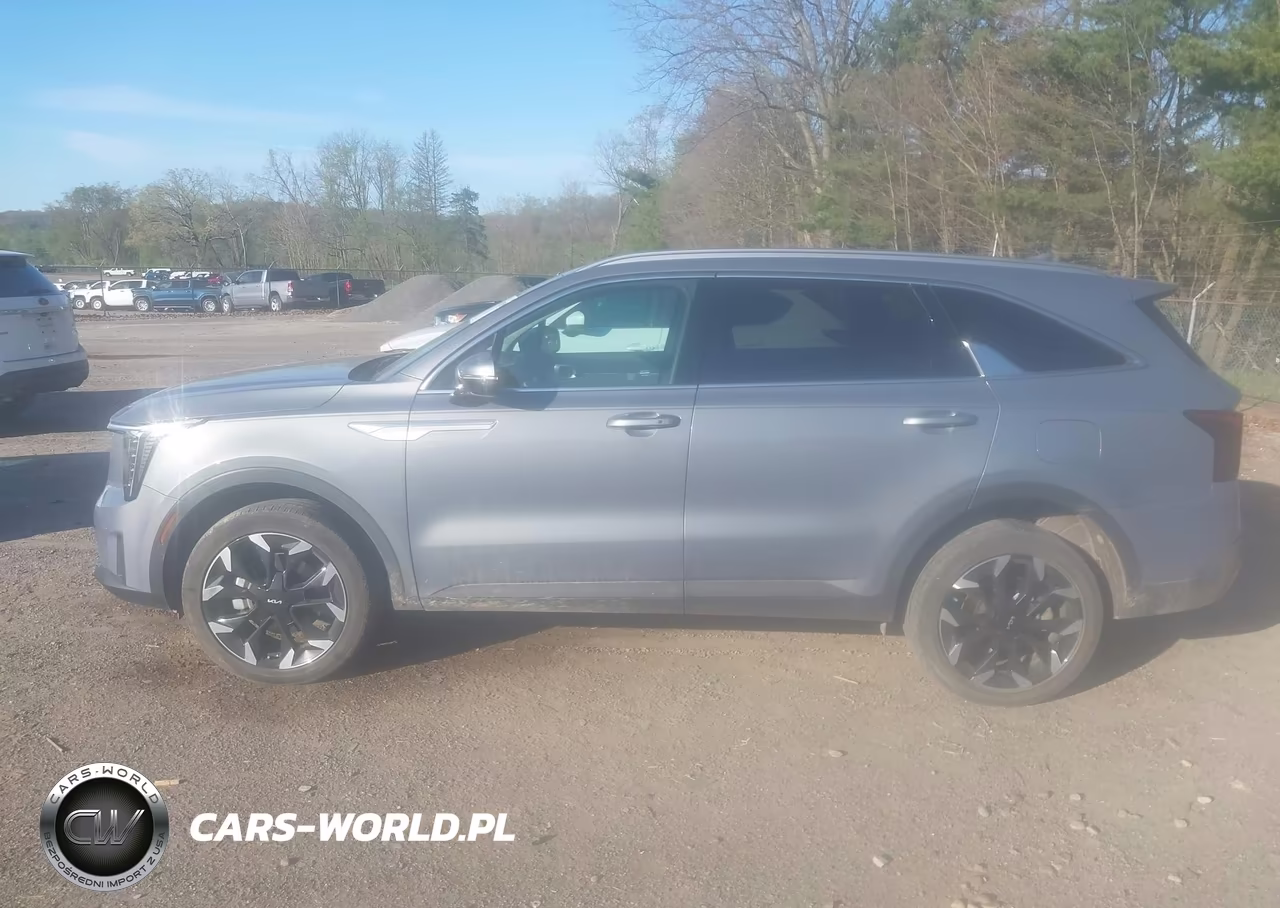 2025 Kia Sorento Ex VIN:5XYRHDJF2SG380031 - 14