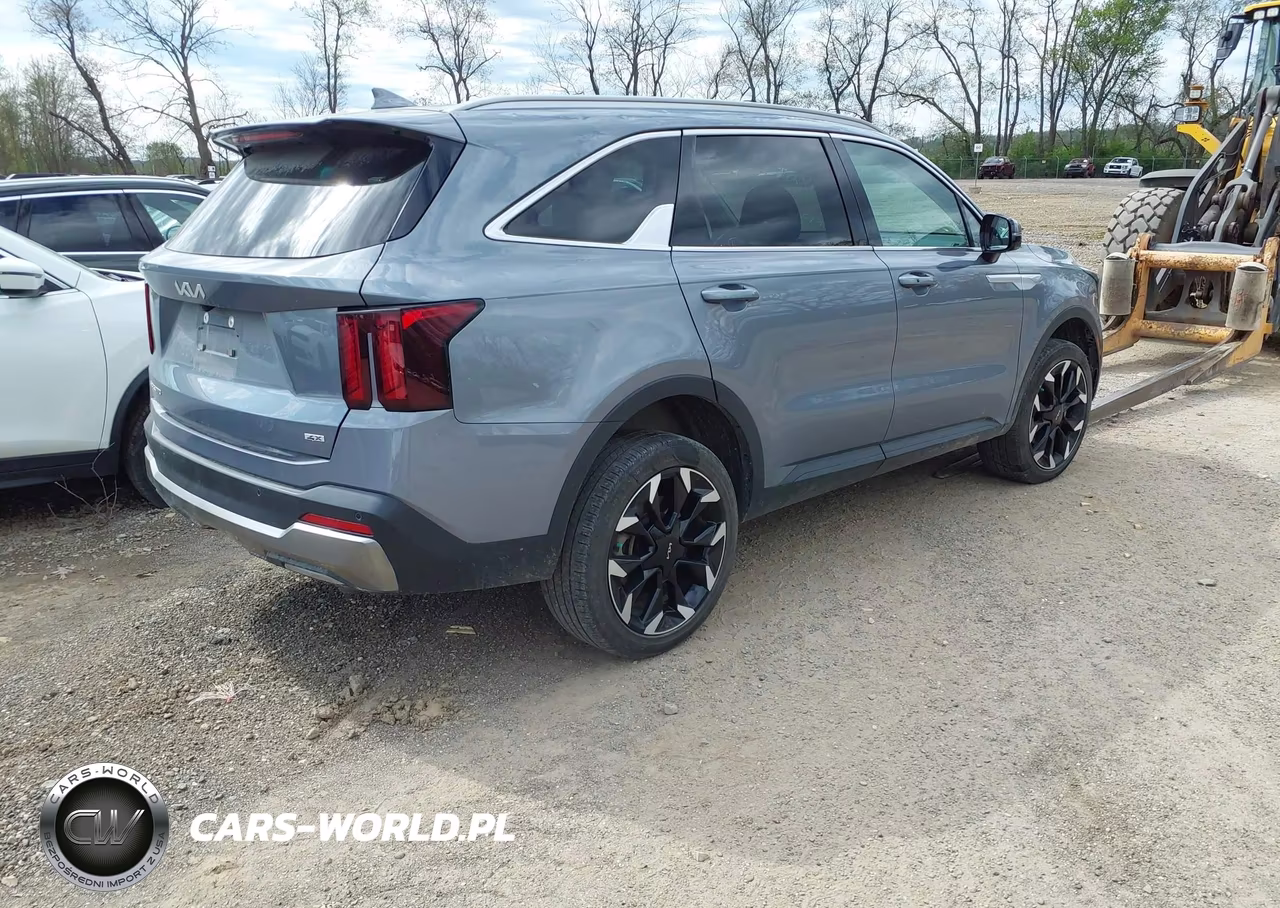 2025 Kia Sorento Ex VIN:5XYRHDJF2SG380031 - 4