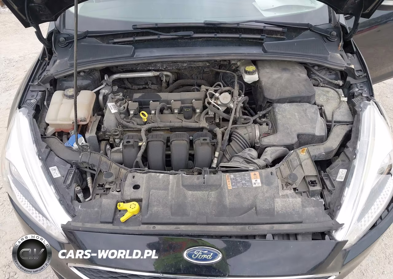 2017 Ford Focus Se VIN:1FADP3F22HL298445 - 10