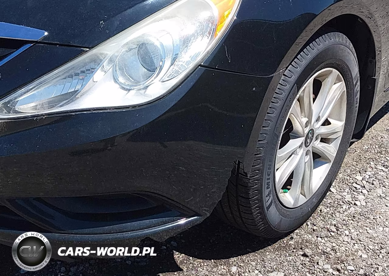2012 Hyundai Sonata Gls VIN:5NPEB4AC9CH498433 - 12