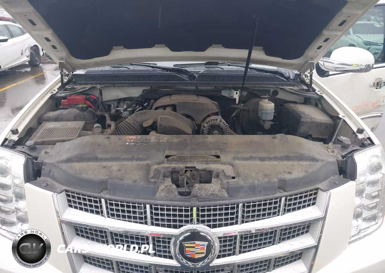 2011 Cadillac Escalade Platinum Edition VIN:1GYS4DEF8BR266358 - 10