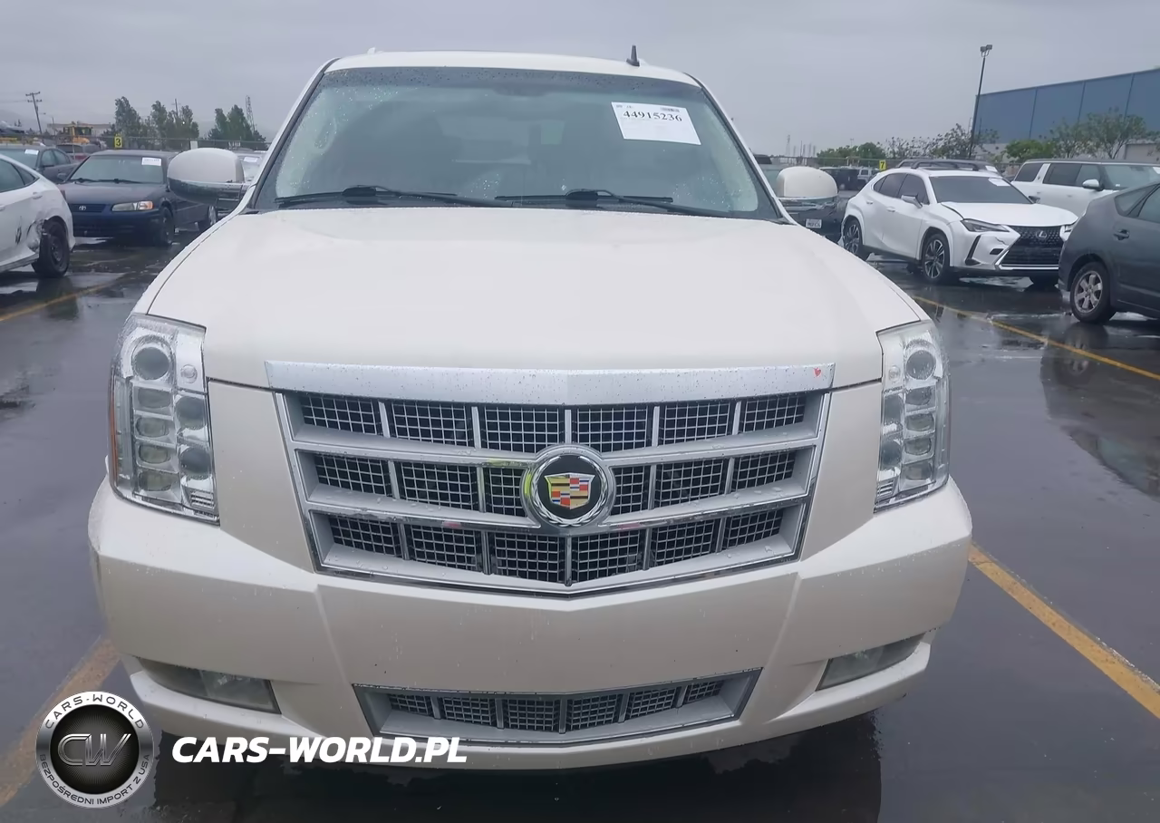 2011 Cadillac Escalade Platinum Edition VIN:1GYS4DEF8BR266358 - 12
