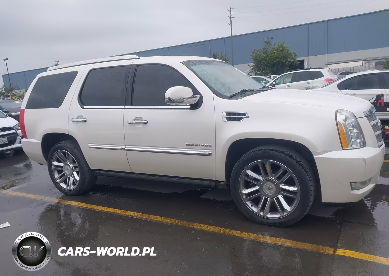 2011 Cadillac Escalade Platinum Edition VIN:1GYS4DEF8BR266358 - 13