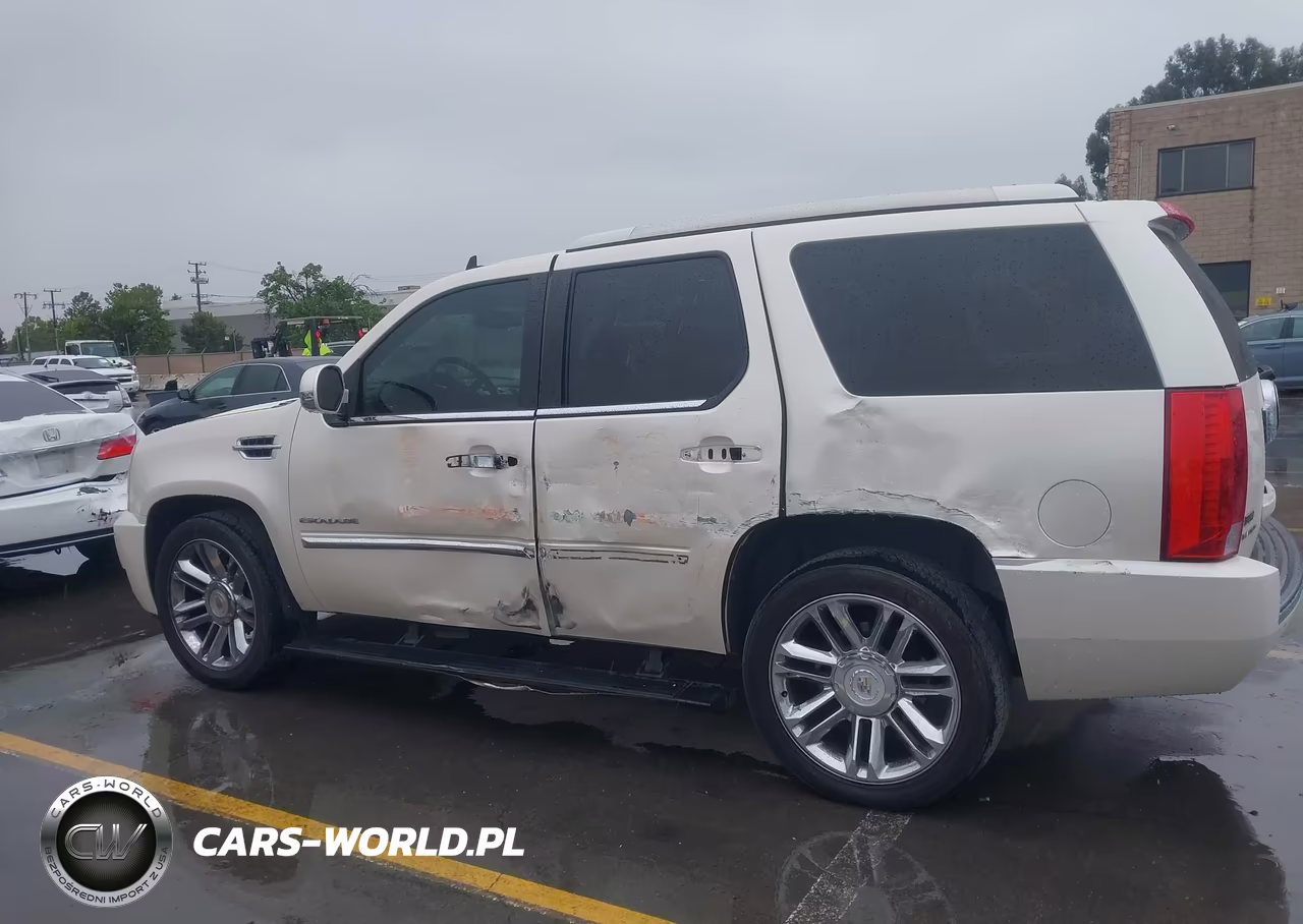 2011 Cadillac Escalade Platinum Edition VIN:1GYS4DEF8BR266358 - 14
