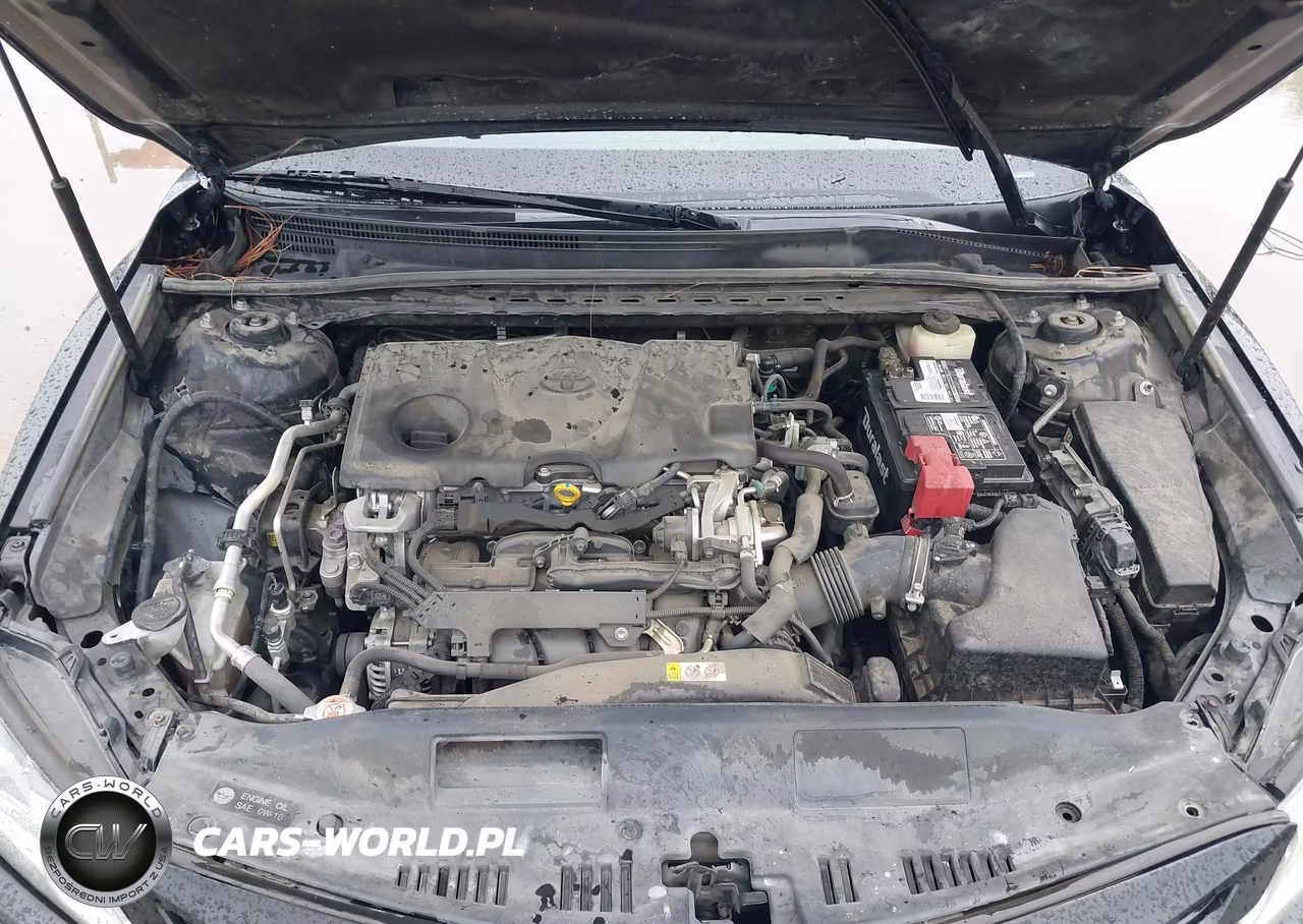 2018 Toyota Camry Se VIN:4T1B11HK7JU549170 - 10