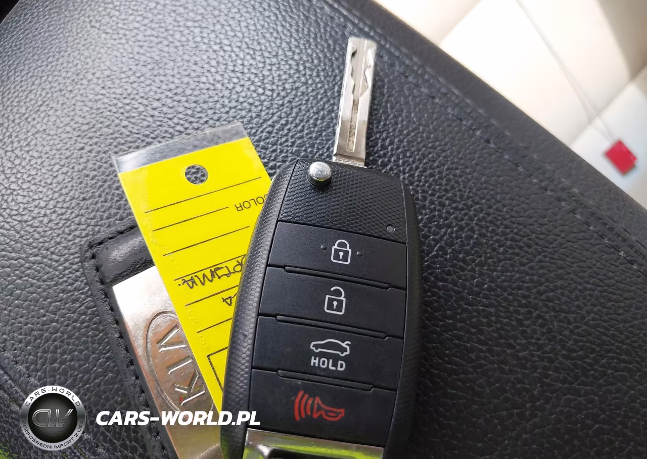 2014 Kia Optima Lx VIN:5XXGM4A79EG284904 - 11