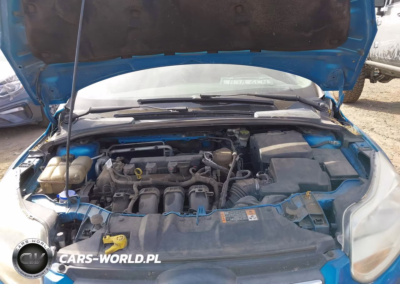 2014 Ford Focus Se VIN:1FADP3F23EL350323 - 10