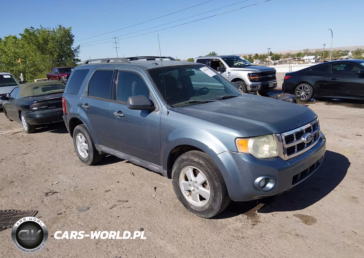 2010 Ford Escape Xlt