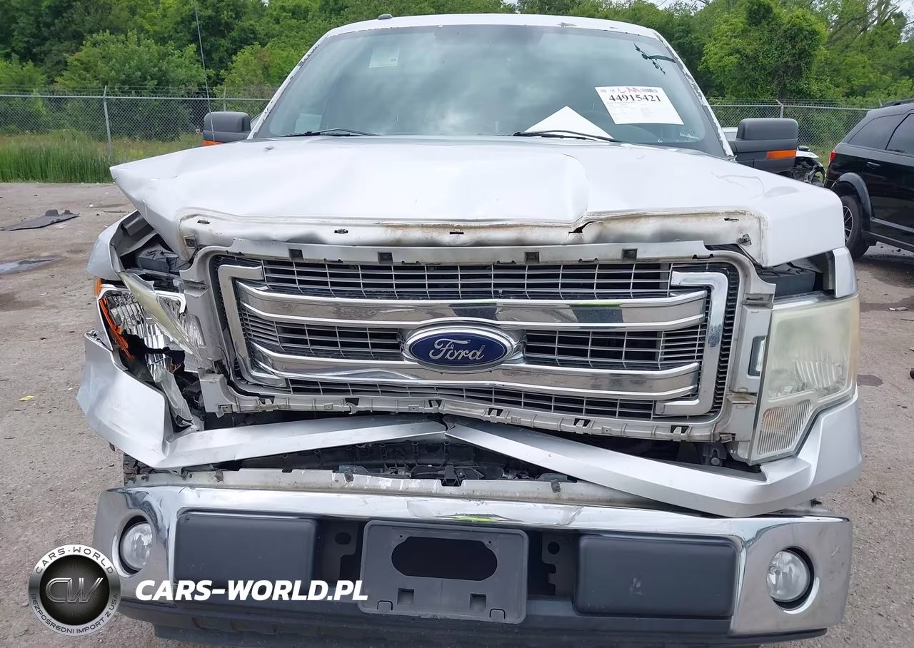 2014 Ford F-150 Xlt VIN:1FTFW1CF5EFA66904 - 10
