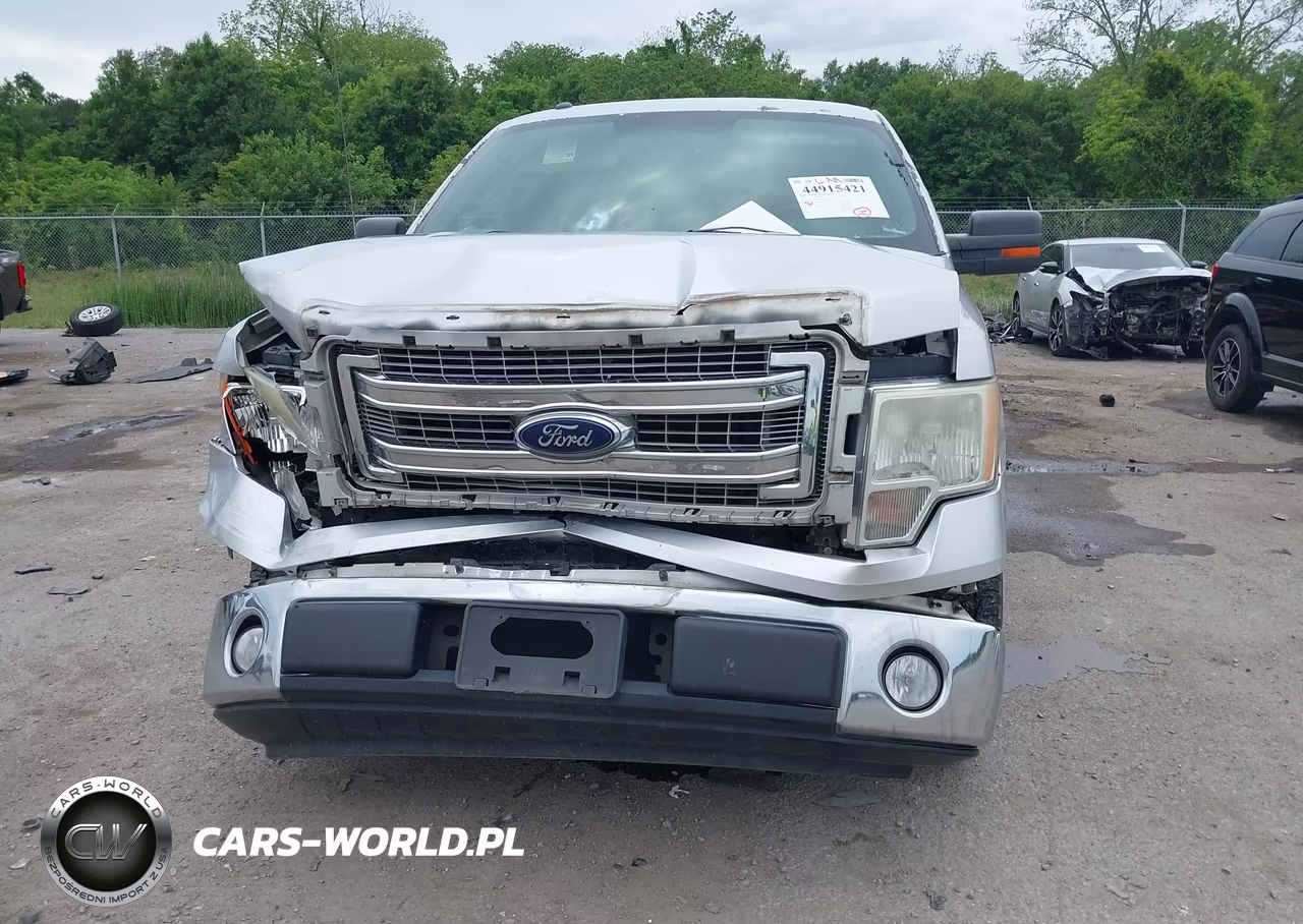 2014 Ford F-150 Xlt VIN:1FTFW1CF5EFA66904 - 12