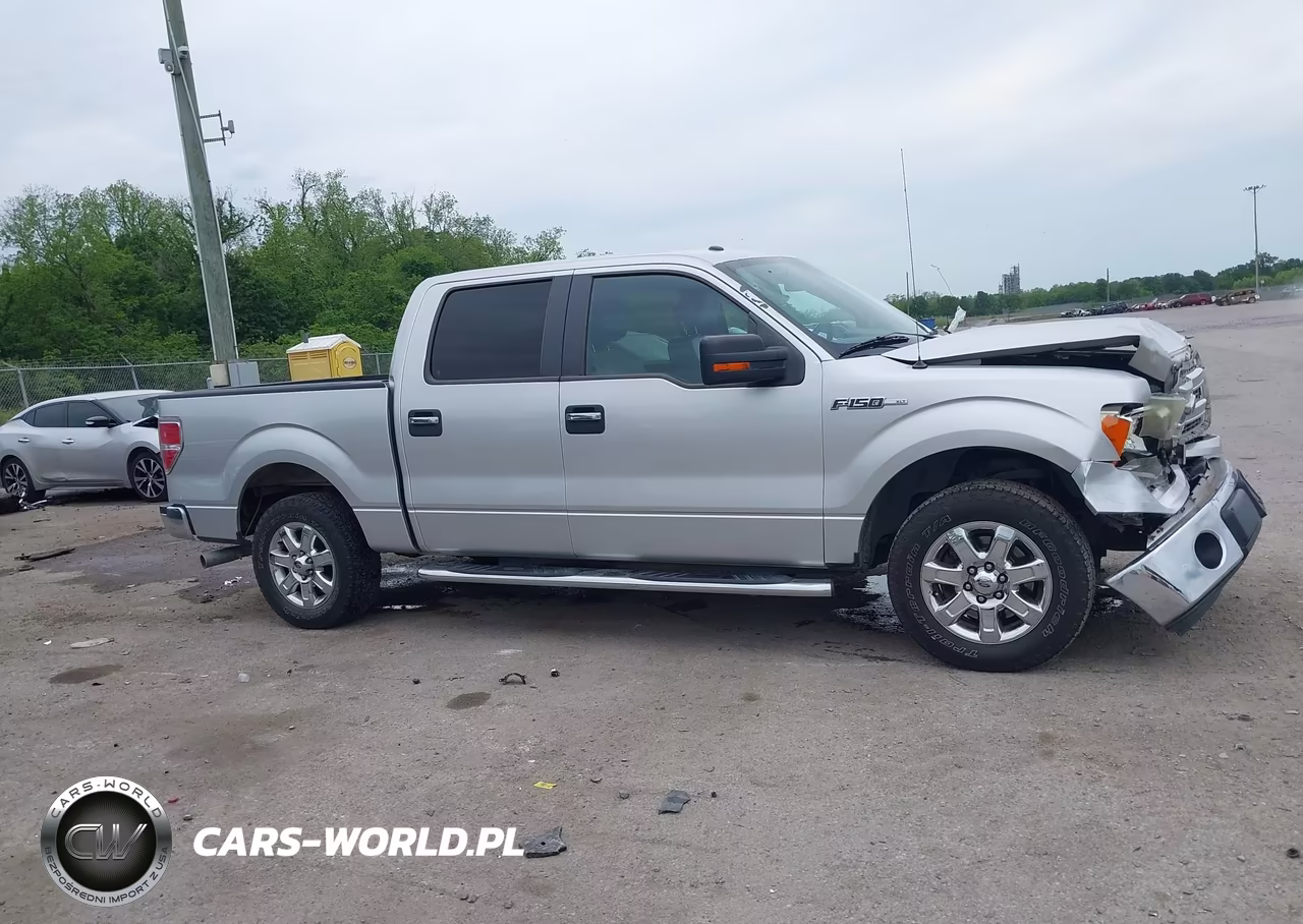 2014 Ford F-150 Xlt VIN:1FTFW1CF5EFA66904 - 13