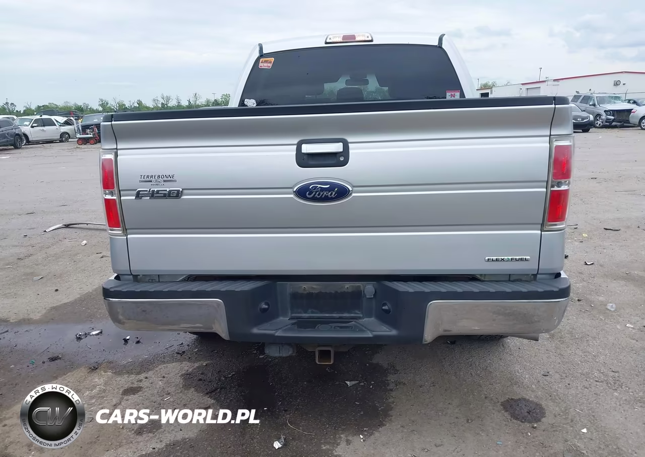 2014 Ford F-150 Xlt VIN:1FTFW1CF5EFA66904 - 16