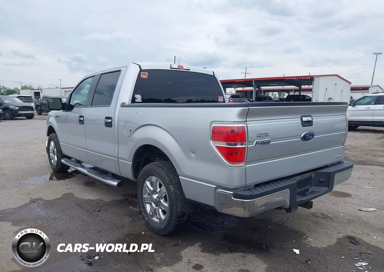 2014 Ford F-150 Xlt VIN:1FTFW1CF5EFA66904 - 3