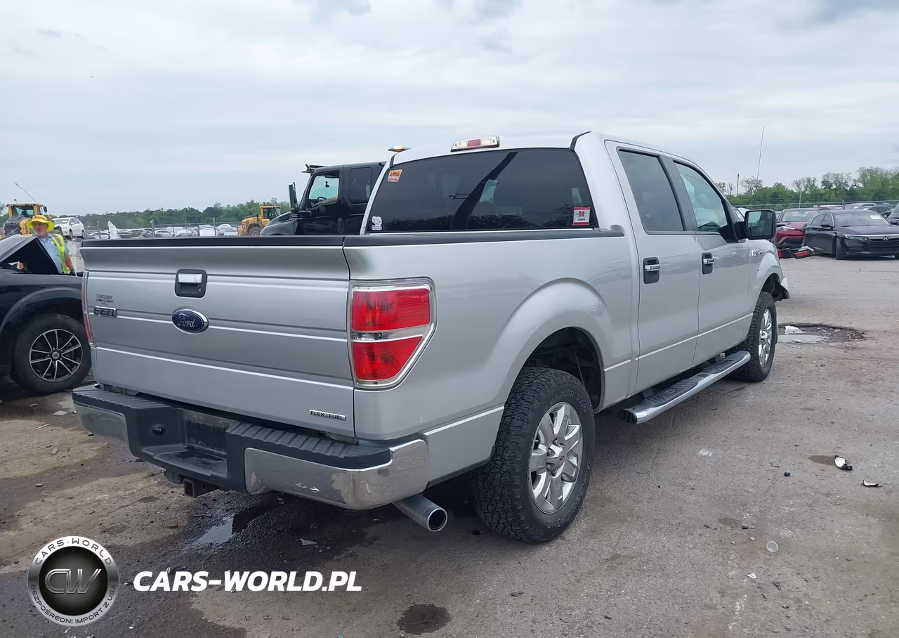 2014 Ford F-150 Xlt VIN:1FTFW1CF5EFA66904 - 4